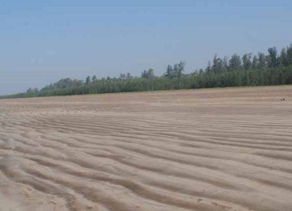 Akshi Beach
