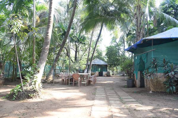 Cottage & garden at Shree Sateri Cottage