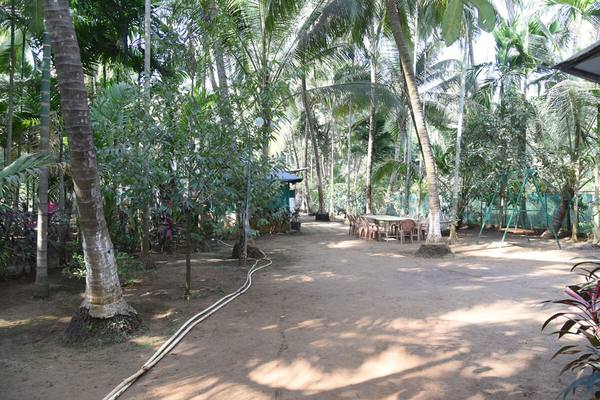 Cottage & garden at Shree Sateri Cottage