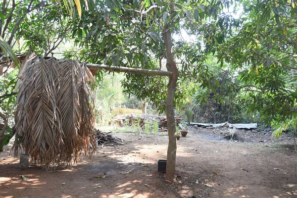 Cottage & garden at Shree Sateri Cottage