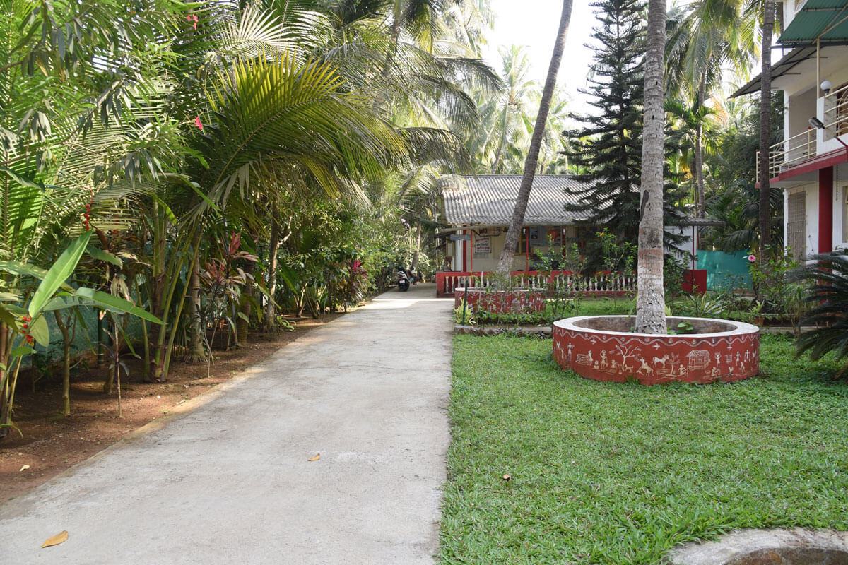 Garden path lined with coconut palms